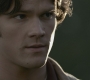 SPN_0508.jpg