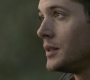 SPN_0509.jpg