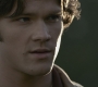SPN_0511.jpg