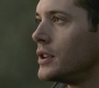 SPN_0515.jpg