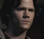 SPN_0795.jpg