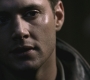 SPN_0824.jpg
