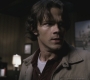 SPN_0980.jpg