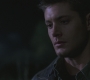 SPN_1014.jpg