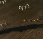 SPN_1102.jpg