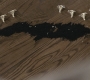 SPN_1120.jpg