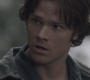 SPN_0178.jpg