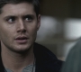SPN_0204.jpg