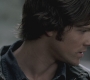 SPN_0209.jpg