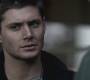 SPN_0211.jpg