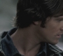 SPN_0212.jpg