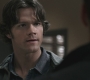 SPN_0395.jpg
