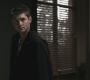 SPN_0419.jpg