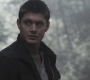 SPN_0446.jpg