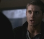 SPN_0819.jpg