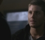SPN_0830.jpg