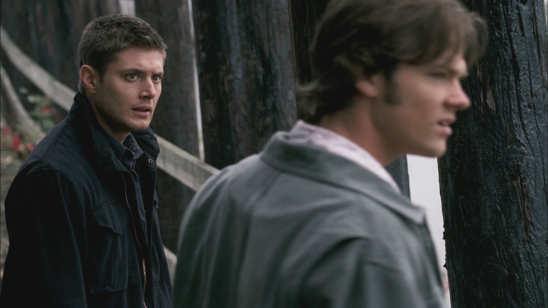 SPN_0113.jpg