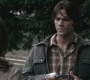 SPN_0682.jpg