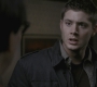 SPN_0505.jpg