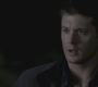 SPN_0129.jpg