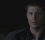 SPN_0133.jpg