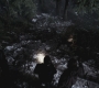 SPN_0182.jpg