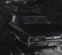 SPN_0294.jpg
