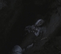 SPN_0625.jpg