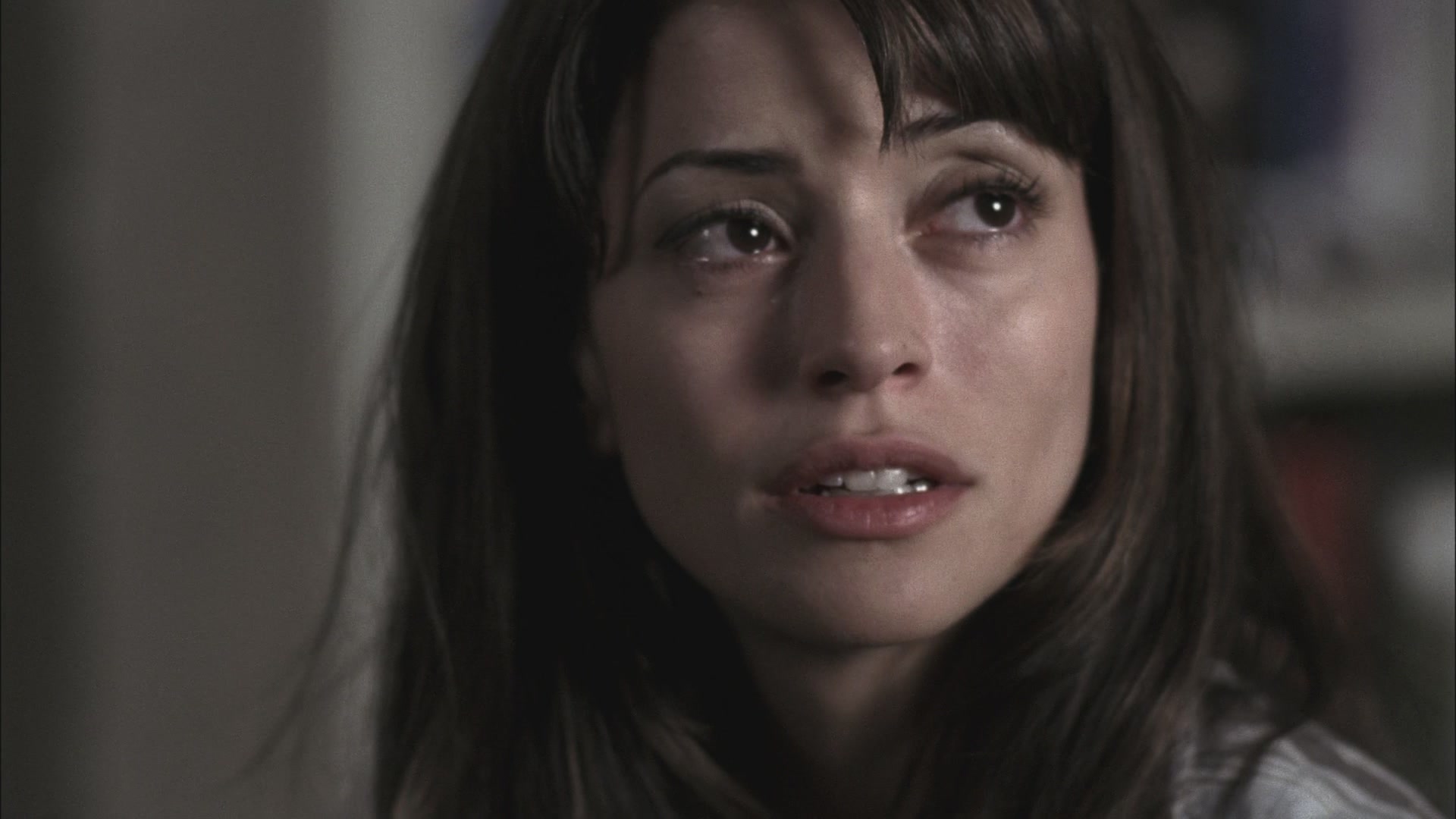 SPN_1132.jpg
