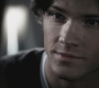 SPN_0528.jpg