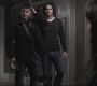 SPN_0676.jpg