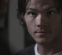 SPN_0700.jpg