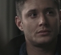 SPN_0913.jpg