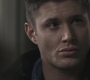 SPN_0921.jpg