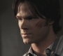SPN_0991.jpg