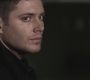 SPN_1162.jpg