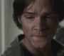 SPN_1200.jpg