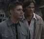 SPN_0245.jpg