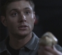 SPN_0312.jpg