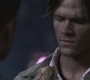 SPN_0313.jpg
