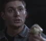 SPN_0315.jpg