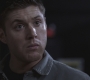 SPN_0328.jpg