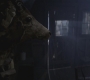 SPN_0557.jpg