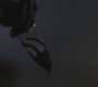 SPN_0863.jpg