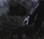 SPN_0873.jpg