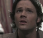 SPN_0958.jpg