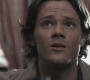SPN_0959.jpg