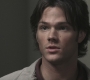 SPN_0981.jpg