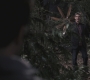 SPN_1034.jpg