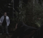 SPN_1068.jpg